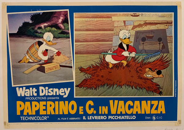 Paperino e C. in Vacanza Poster Museum