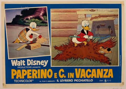 Link to  Paperino e C. in VacanzaItalian Film, 1977  Product