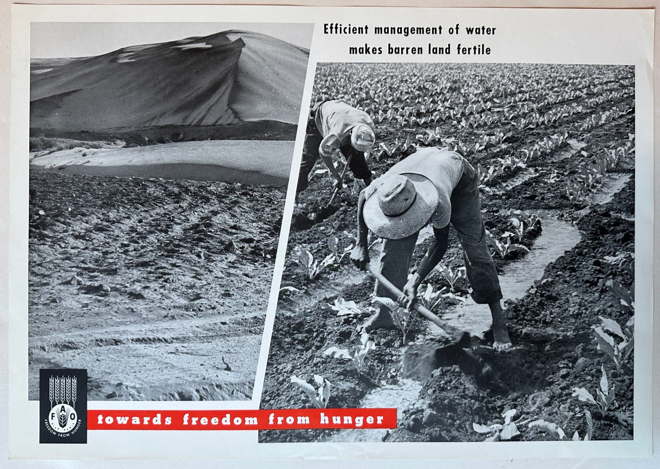 20x14 1960s FAO freedom from hunger campaign poster featuring black and white photos of a barren field and an irrigated field with crops growing