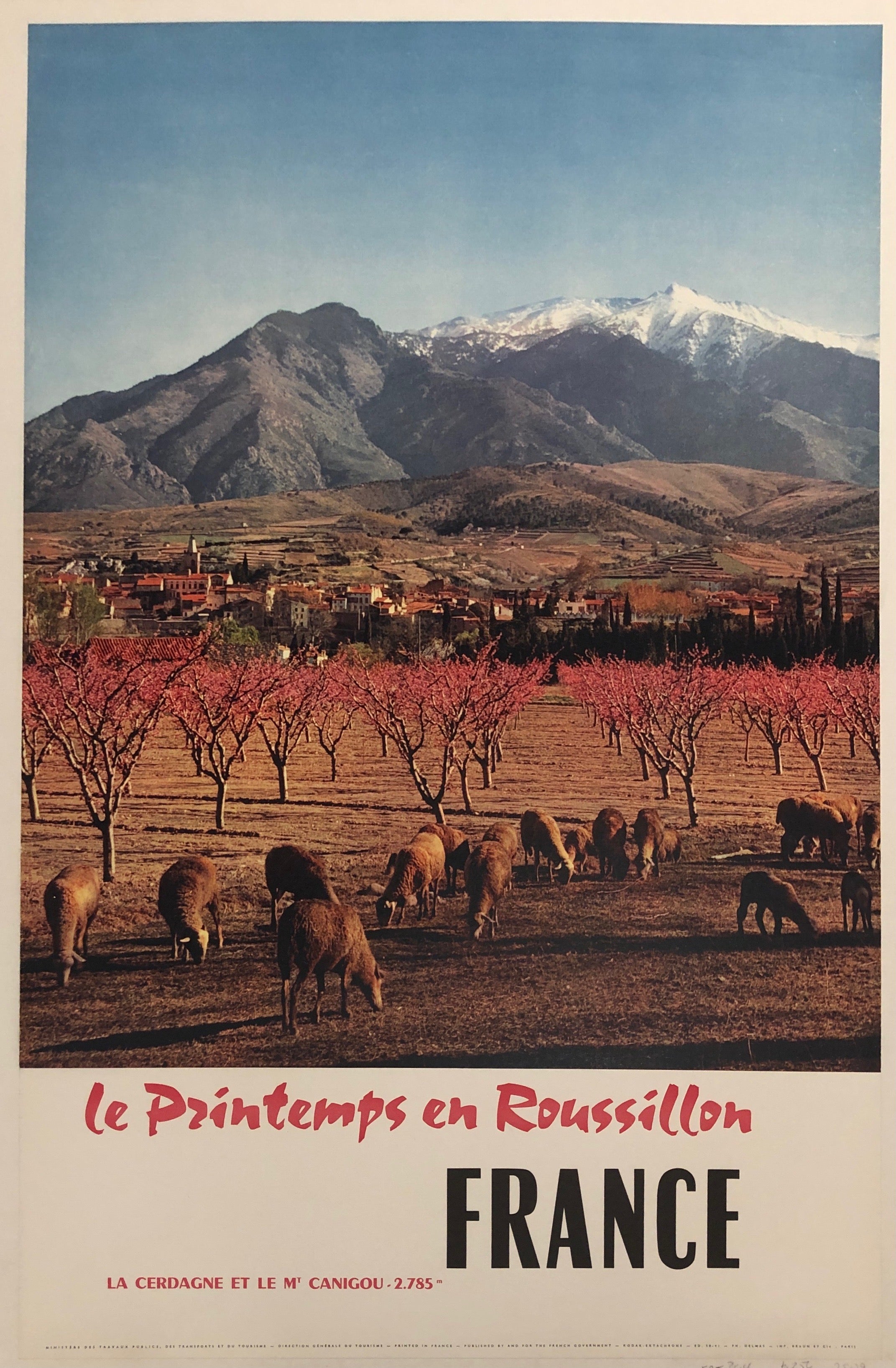 Poster featuring a photograph of the Roussillon region of France, showing sheep grazing before mountaintops.