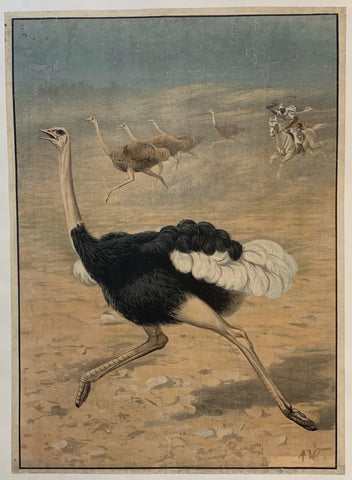 Link to  Chasing the Ostrich1920  Product