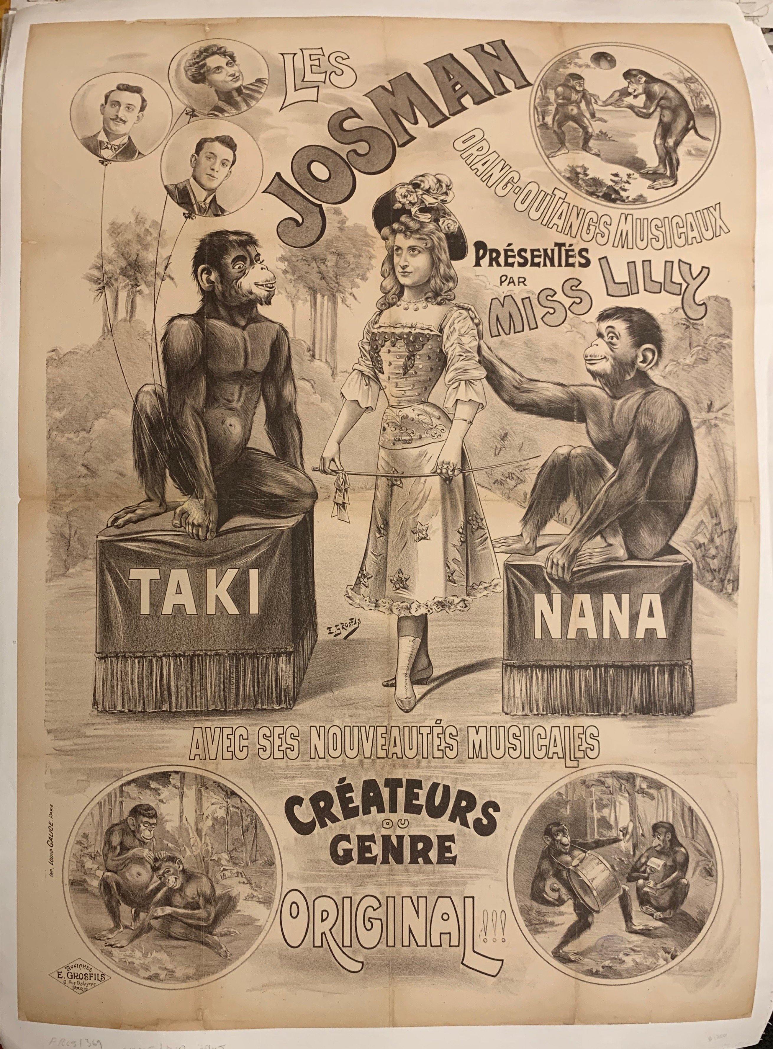 Les Josman Orang-outangs Musicaux Poster - Poster Museum