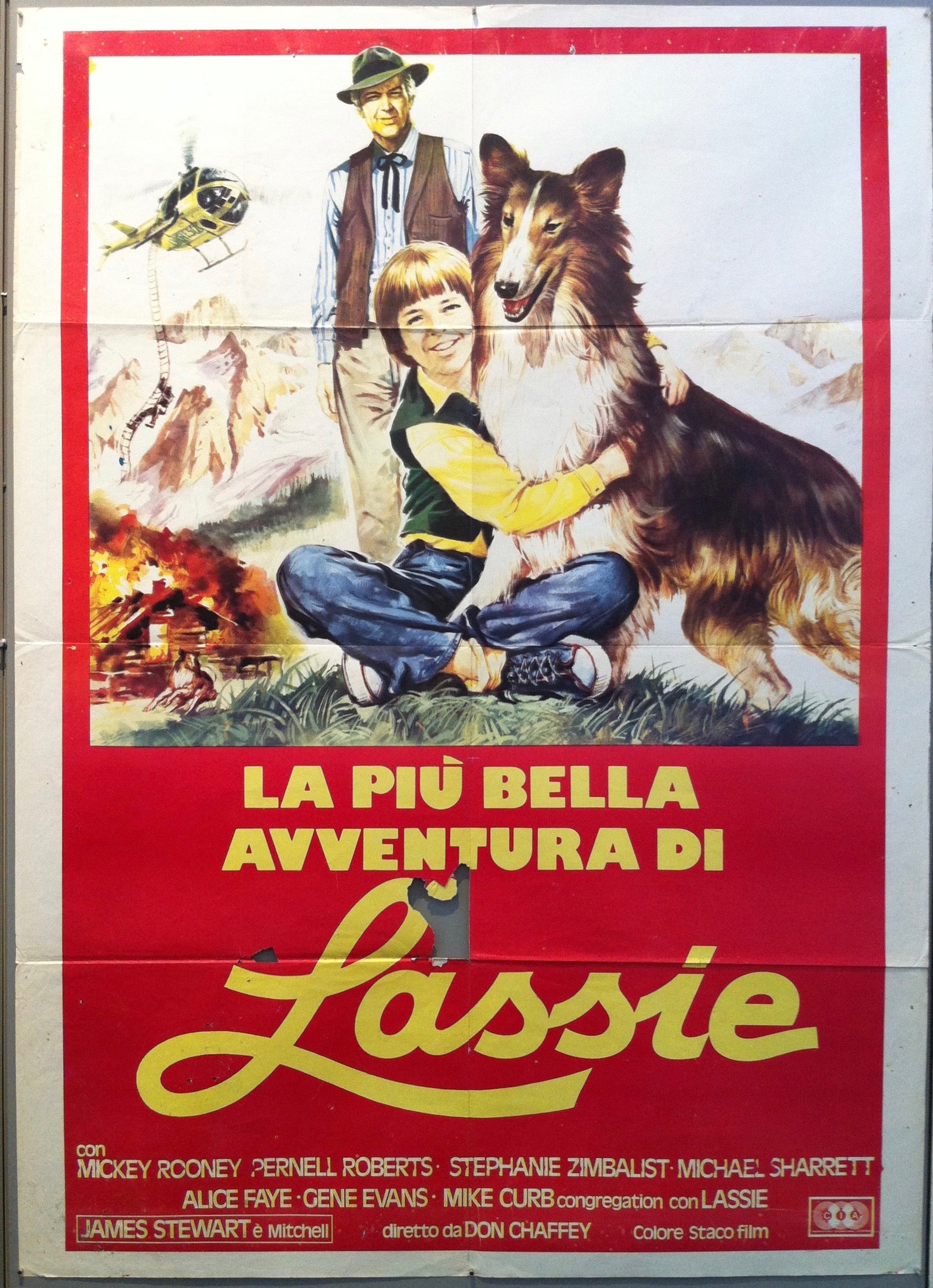 Torna a Casa, Lassie! – Poster Museum