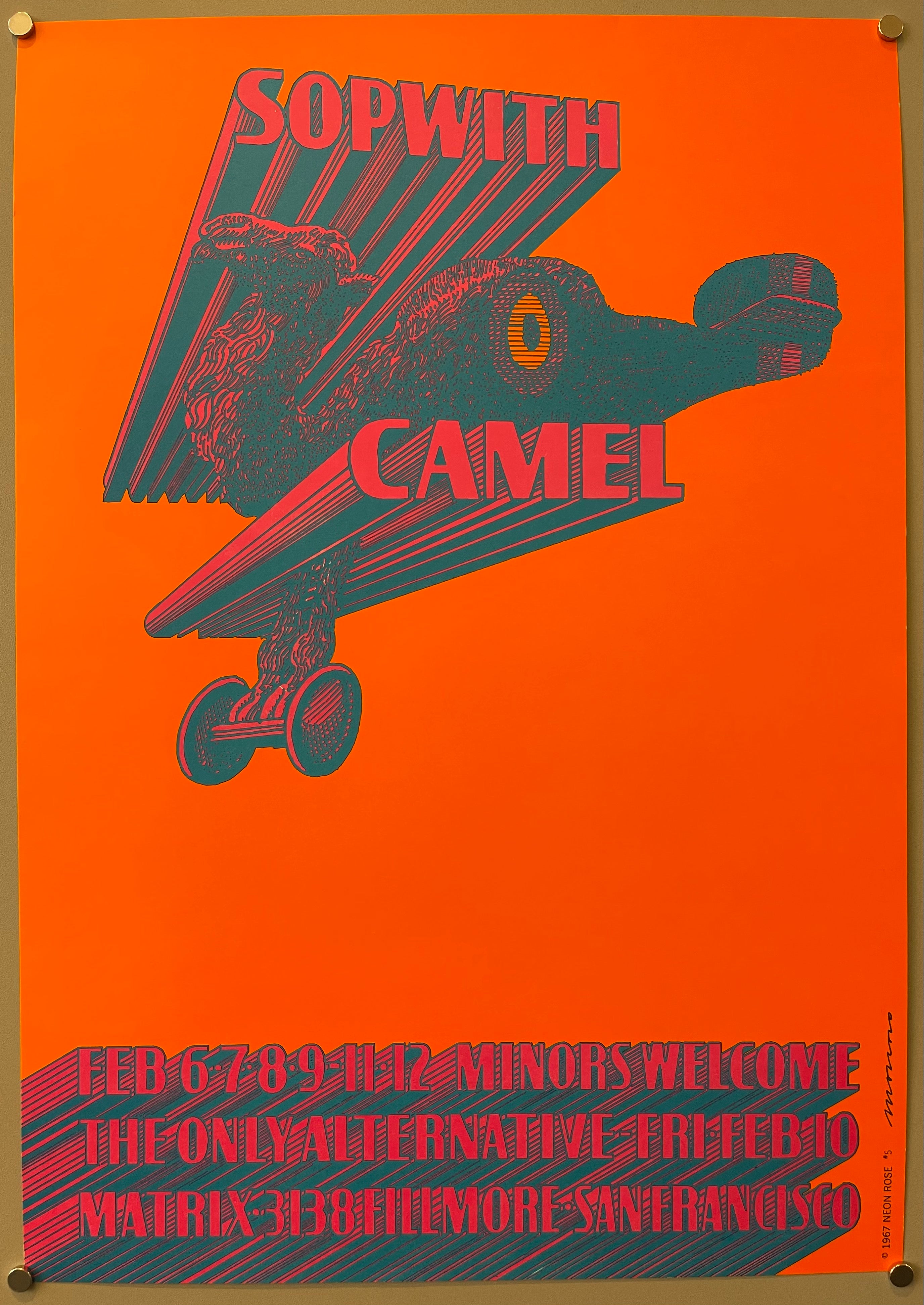 poster of a camel airplane