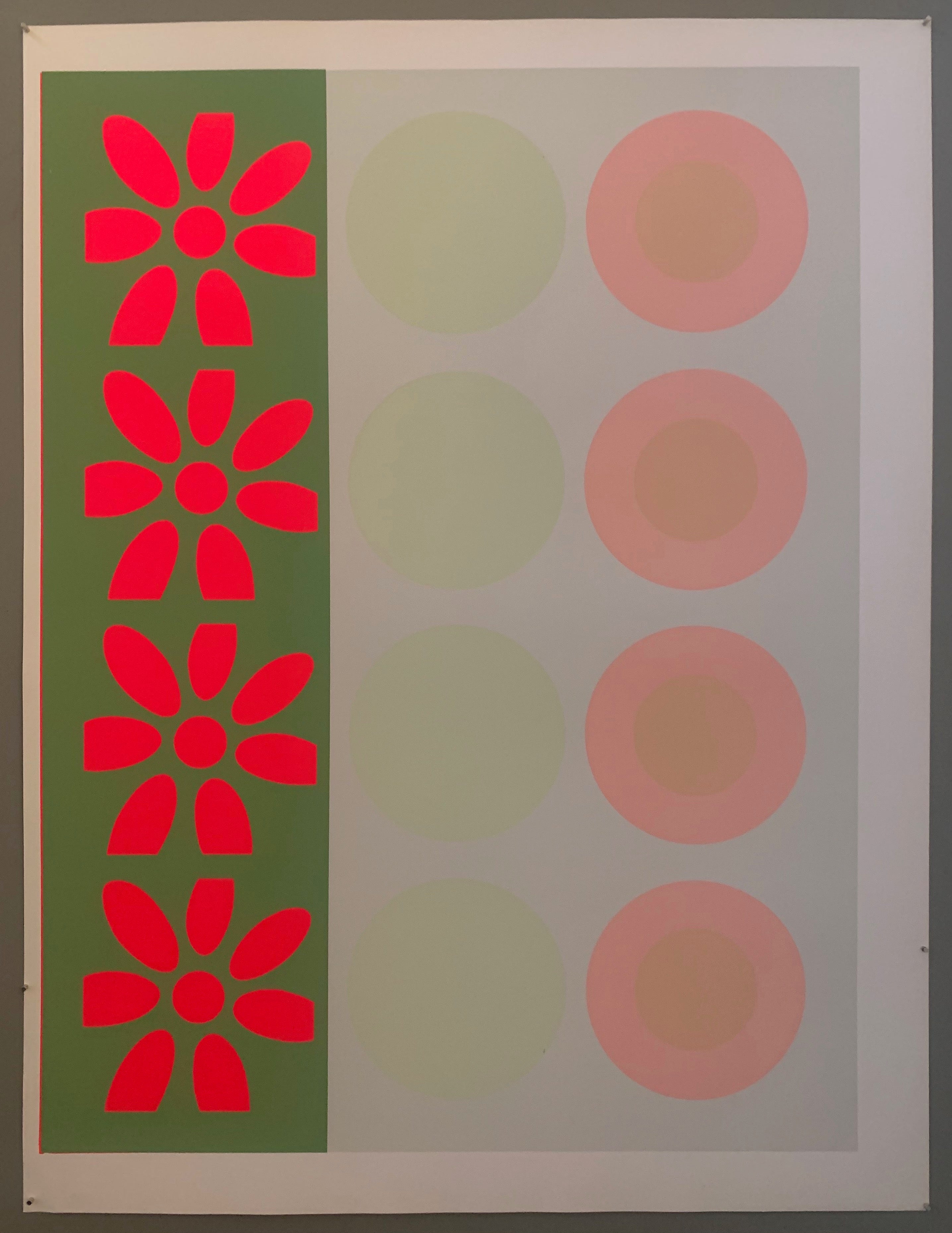 One row of flowers and two rows of targets, all of different colors.