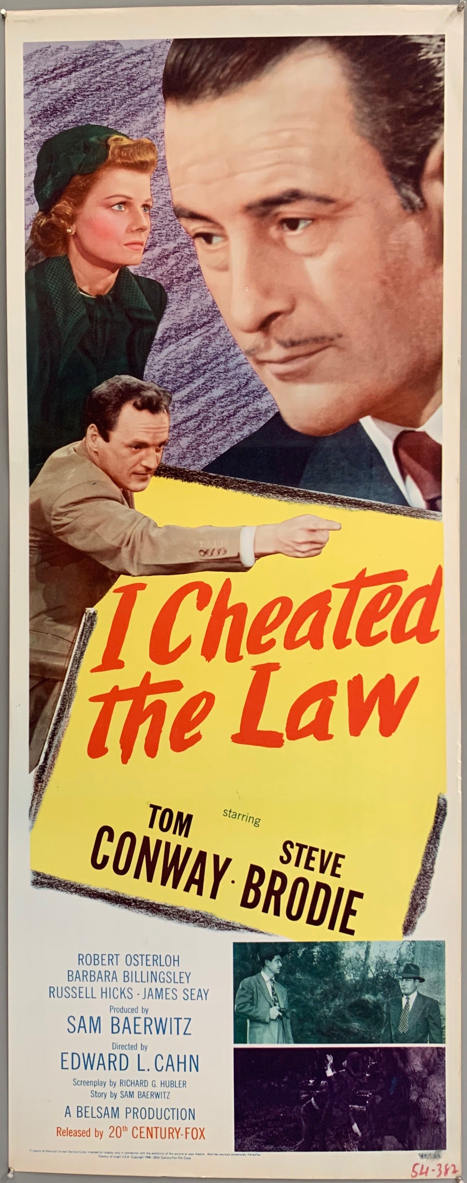 I Cheated the Law Poster