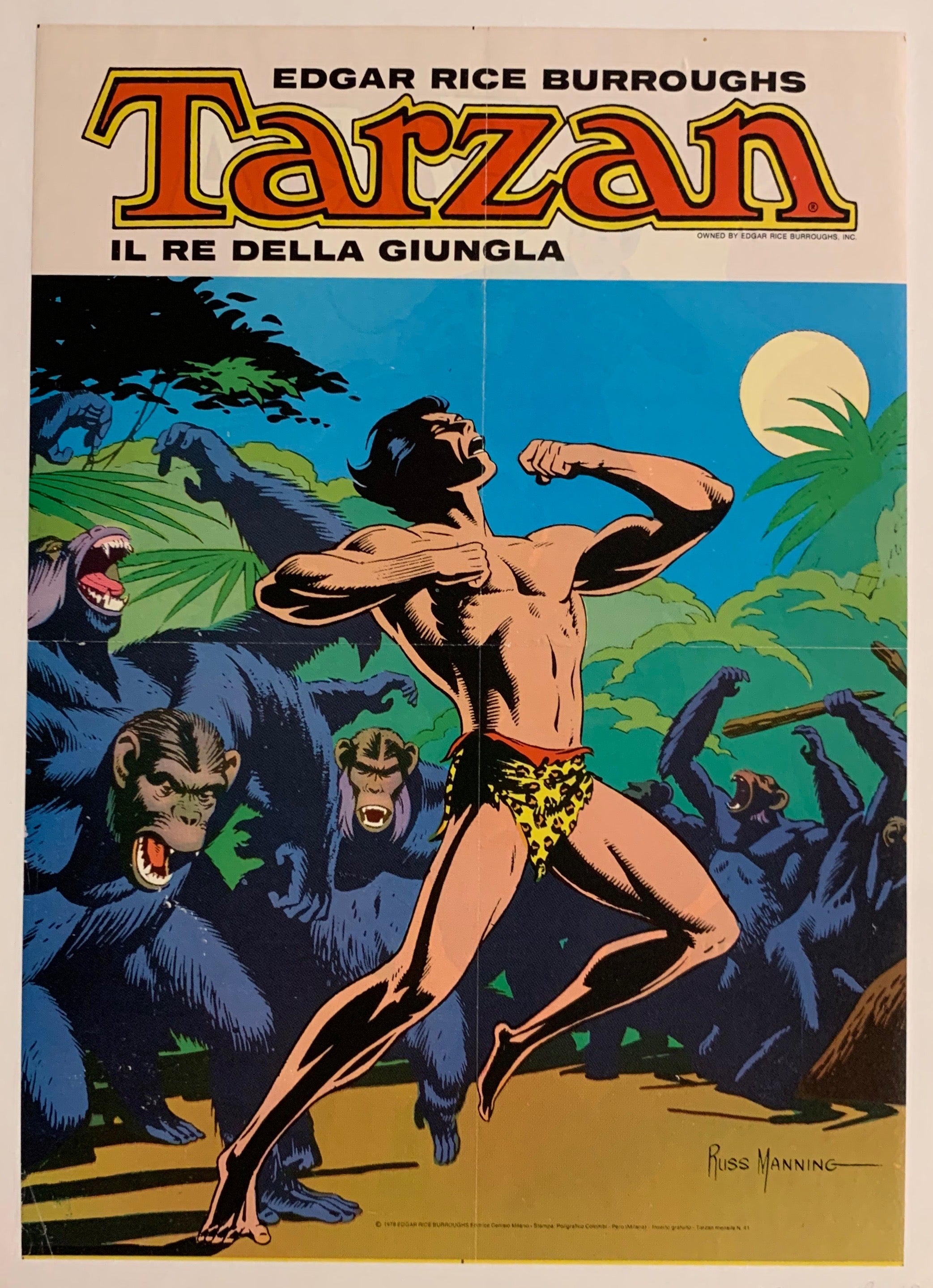 Tarzan Poster