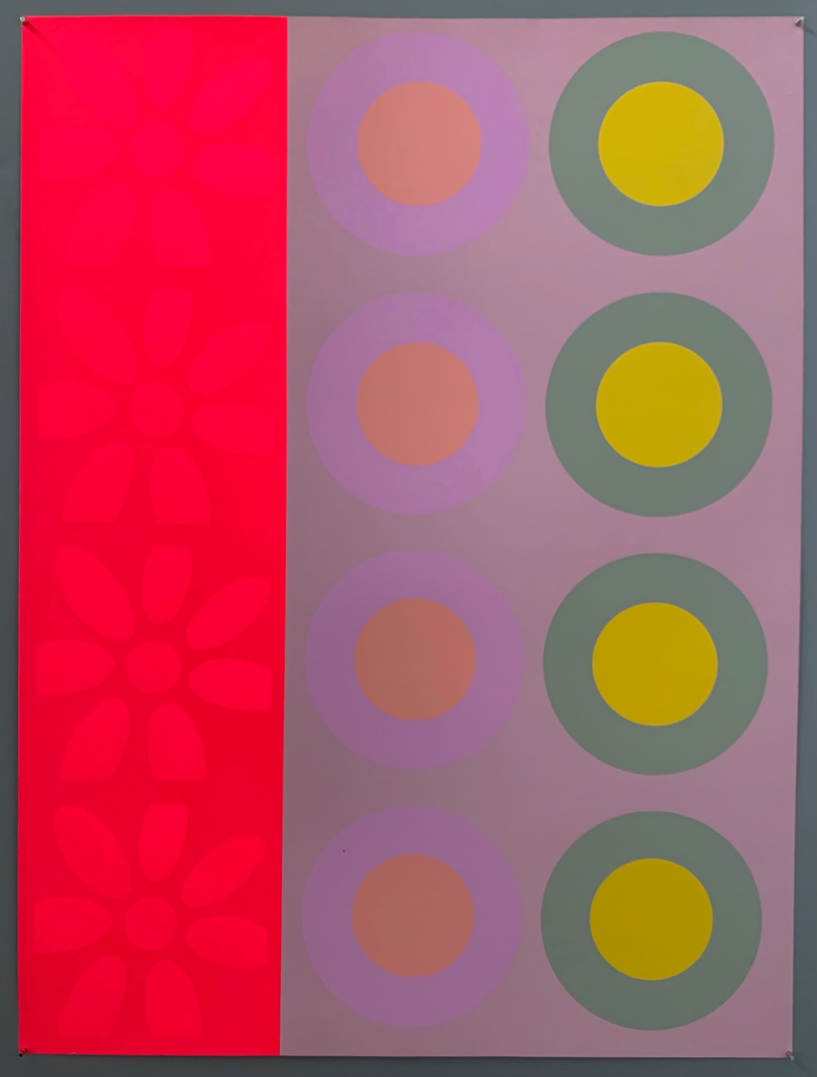 A row of pink flowers next to two rows of targets.