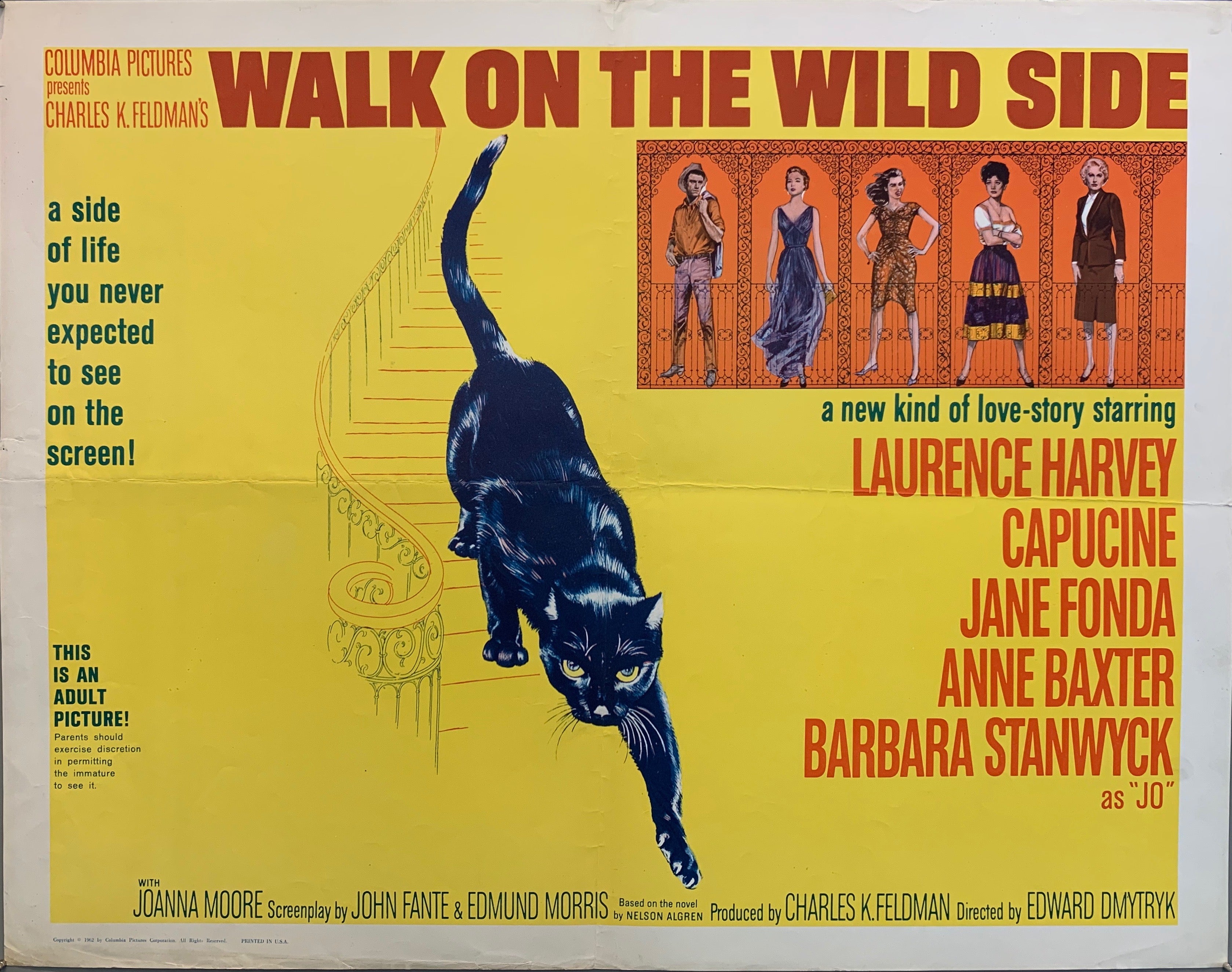 Walk On The Wild Side Film Poster