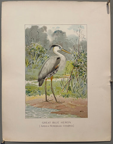 Link to  SOLD Great Blue Heron SOLD ONLINE STORE PICKUPearly 20th century  Product
