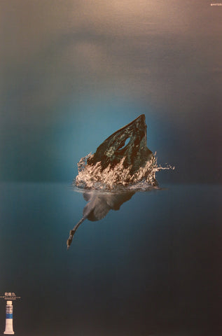 Link to  Ray Out Of Water-  Product