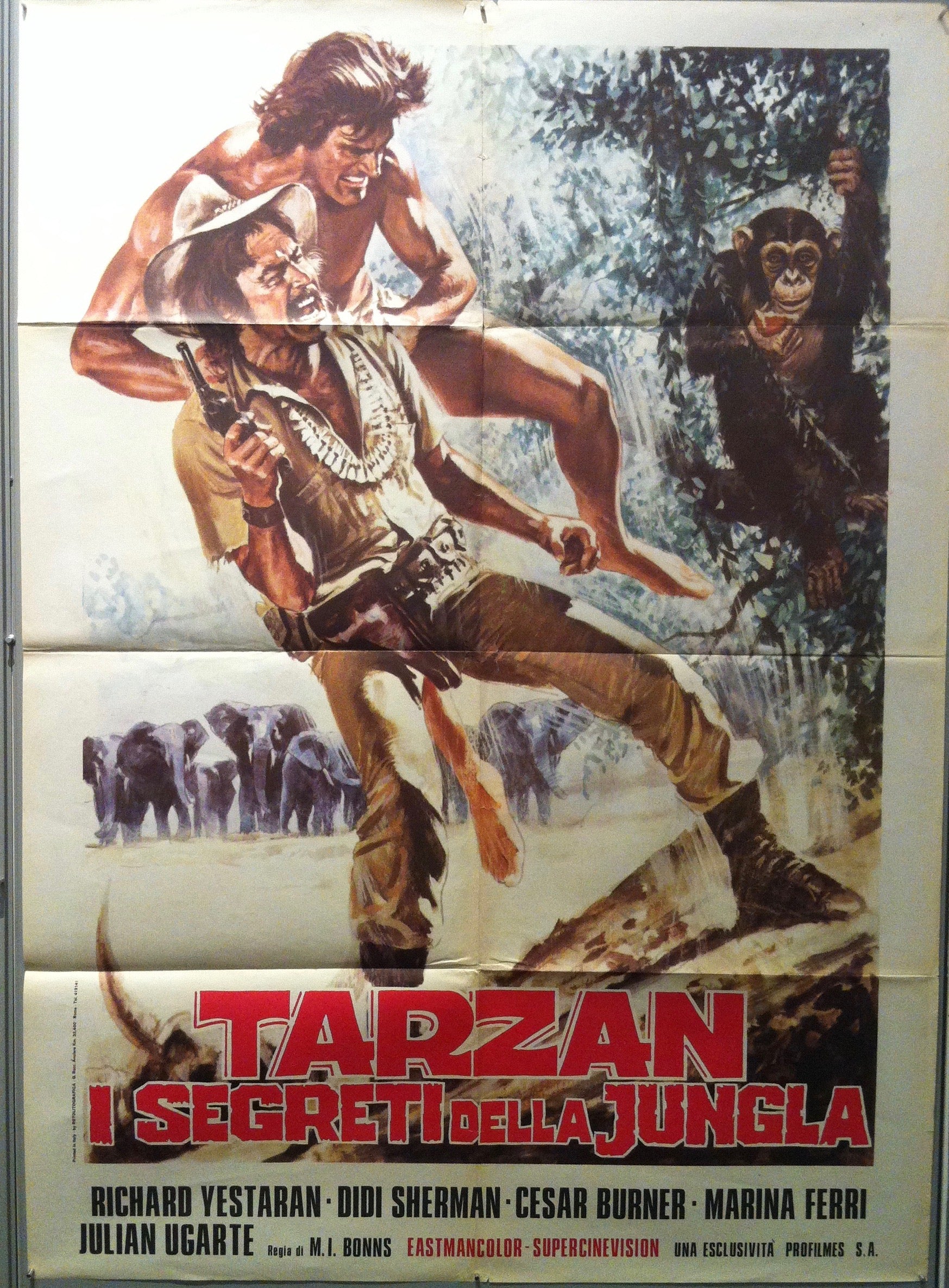 Tarzan I Segreti Della Jungla