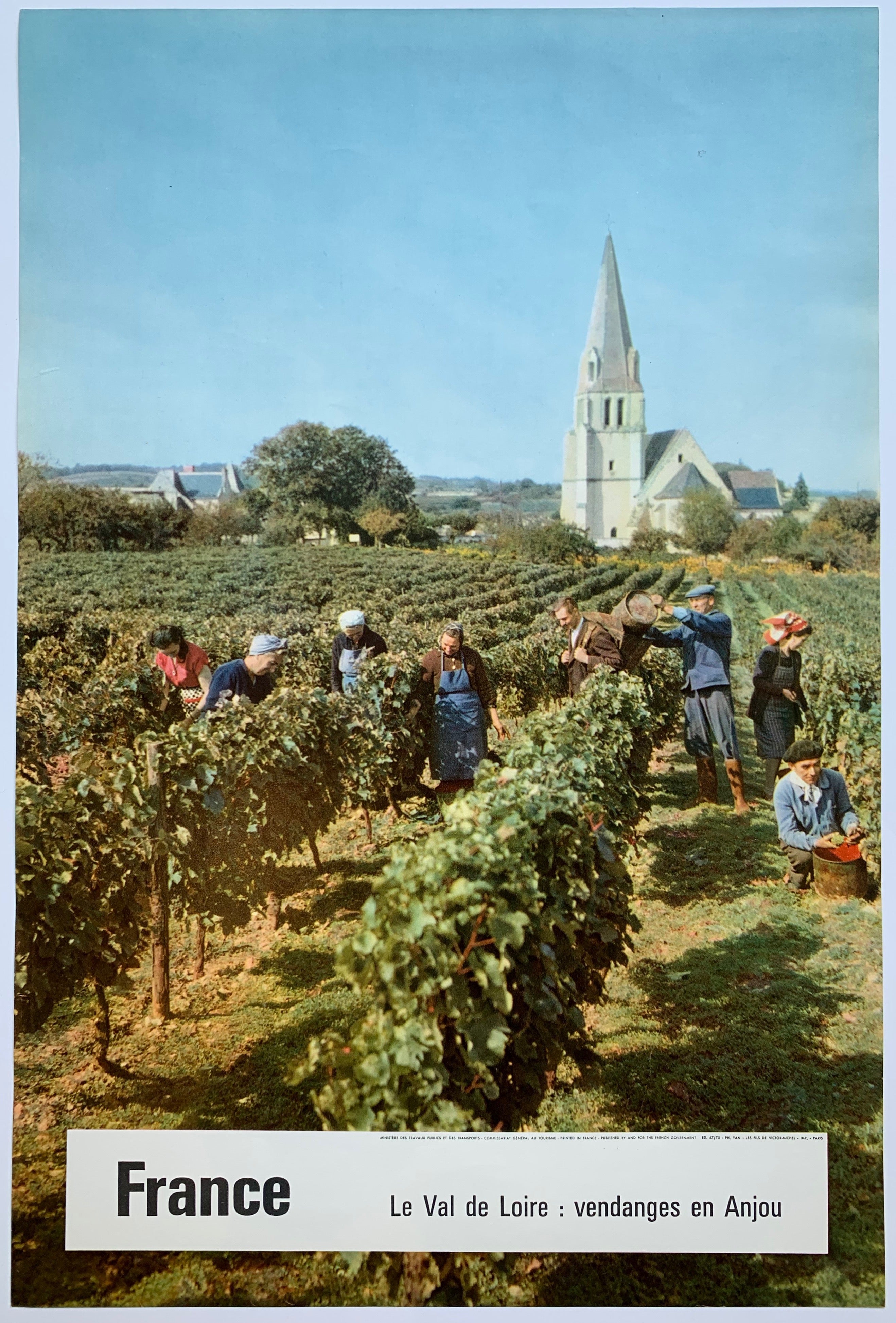 France: "Le Val de Loire: vendanges en Anjou"✓