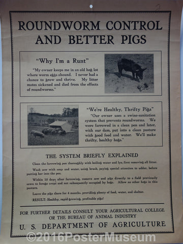 Link to  Roundworm control and better pigsUnited States - 1928  Product