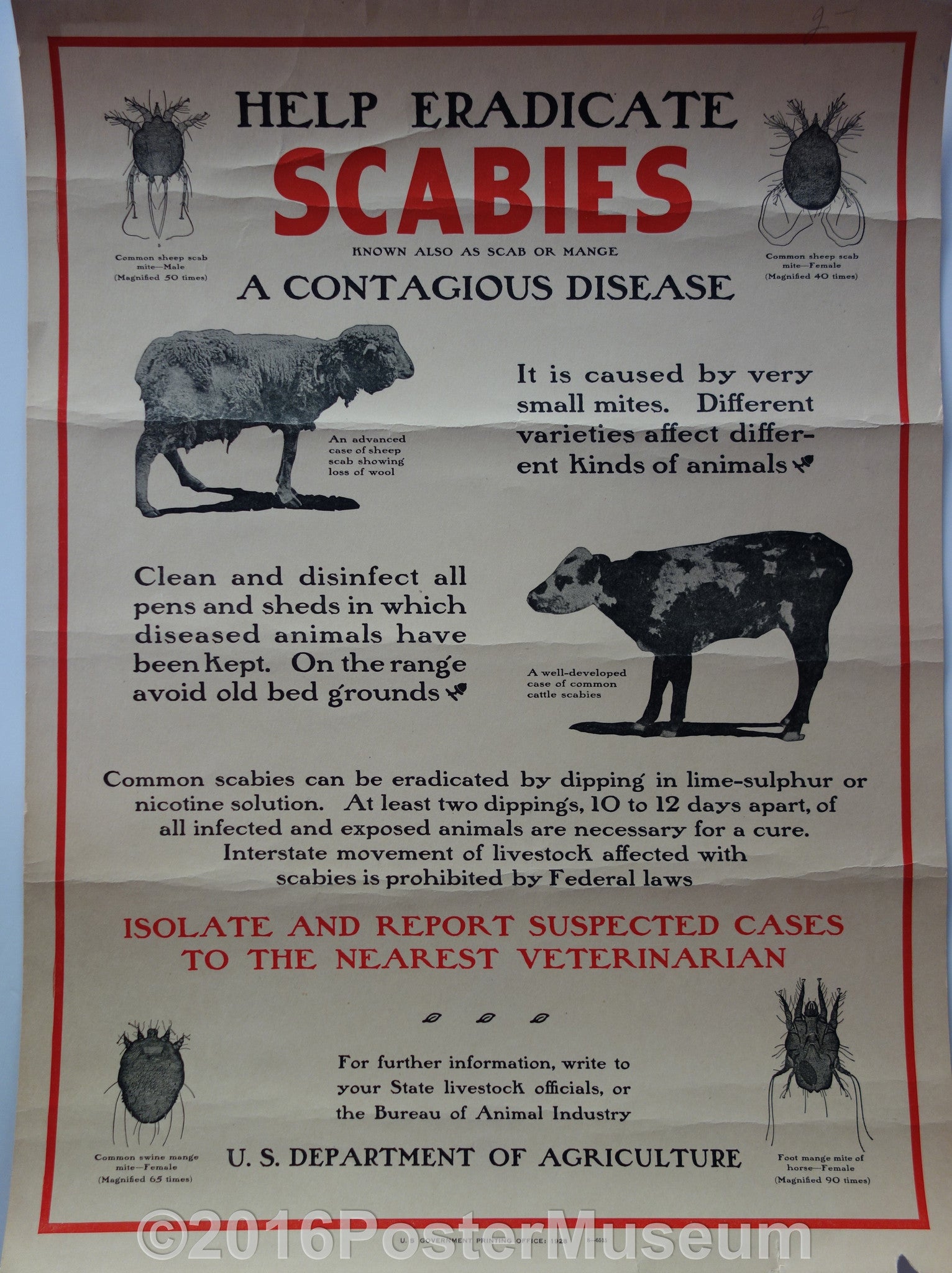 Help eradicate scabies