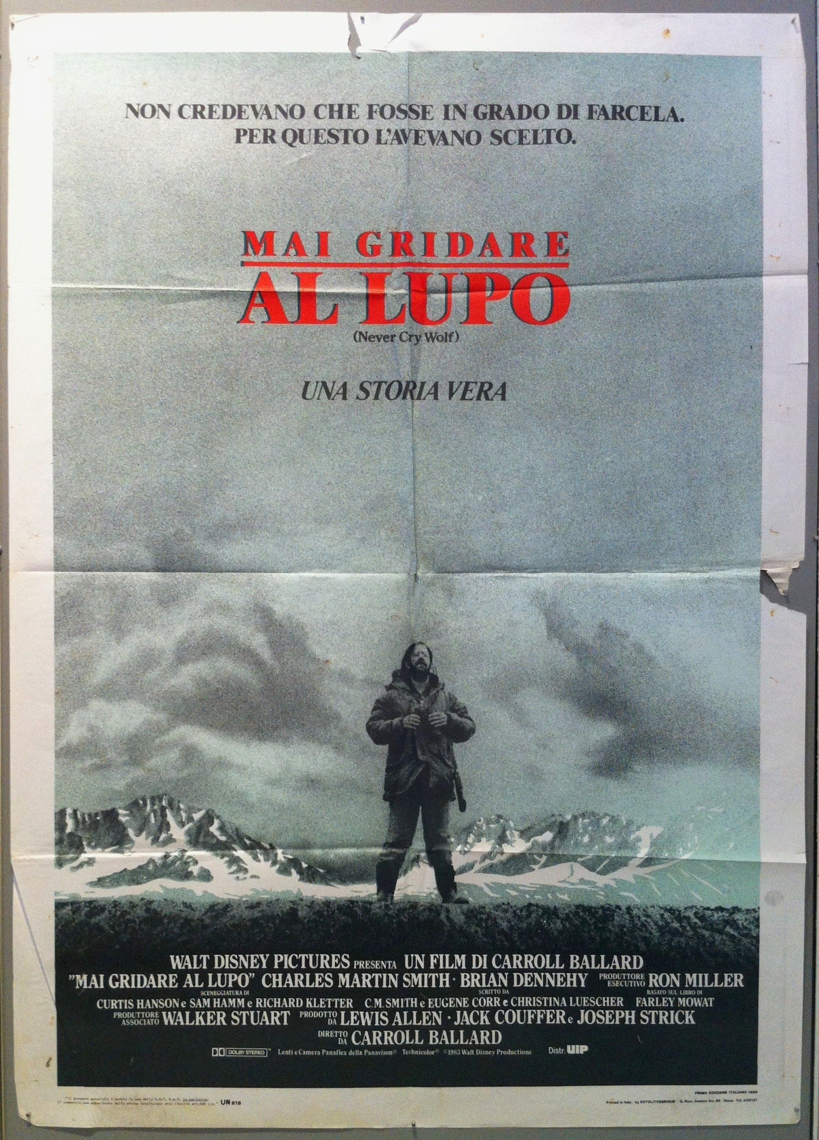 Mai Gridare Al Lupo Film Poster