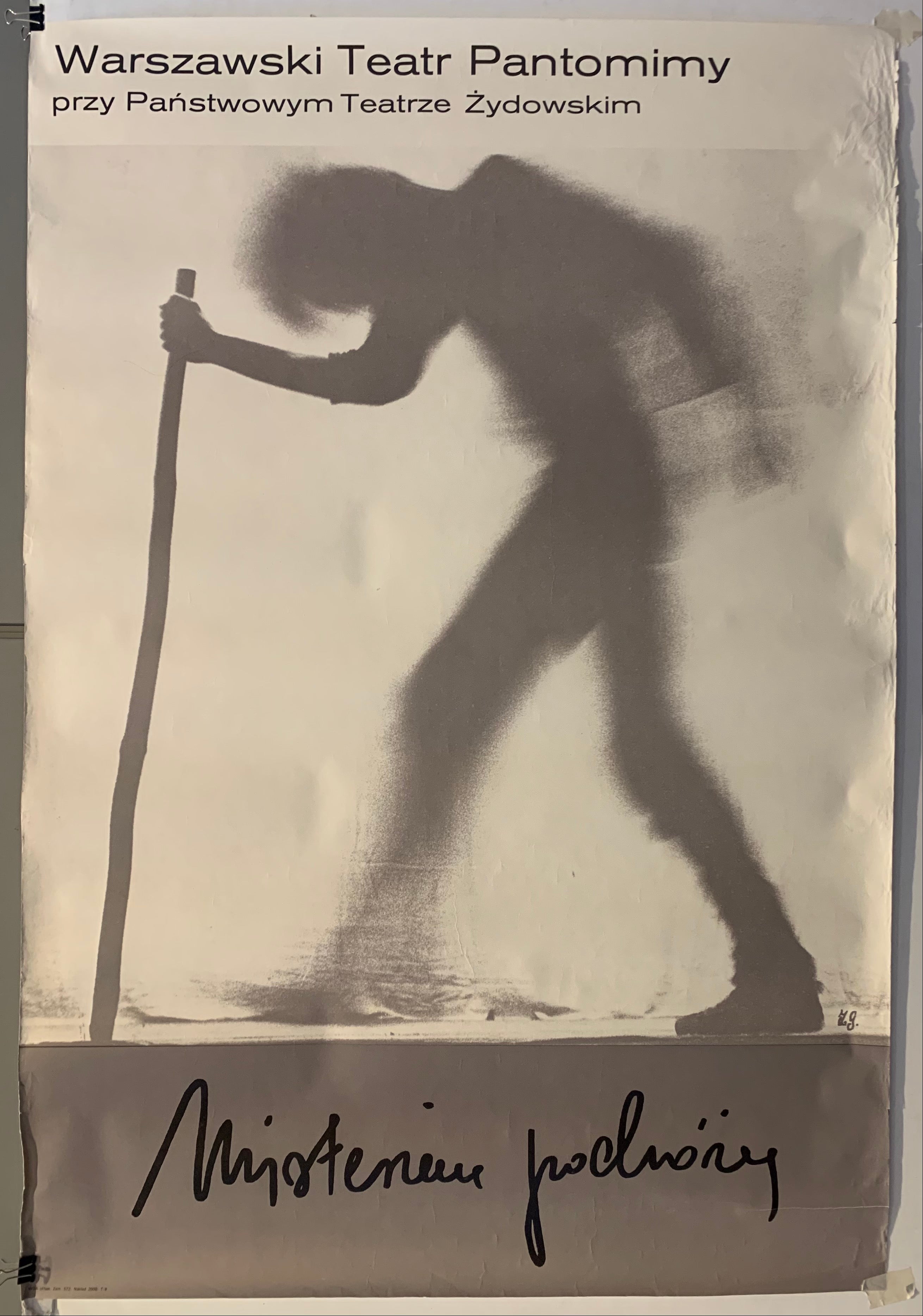 Mysterious Journey Polish Poster