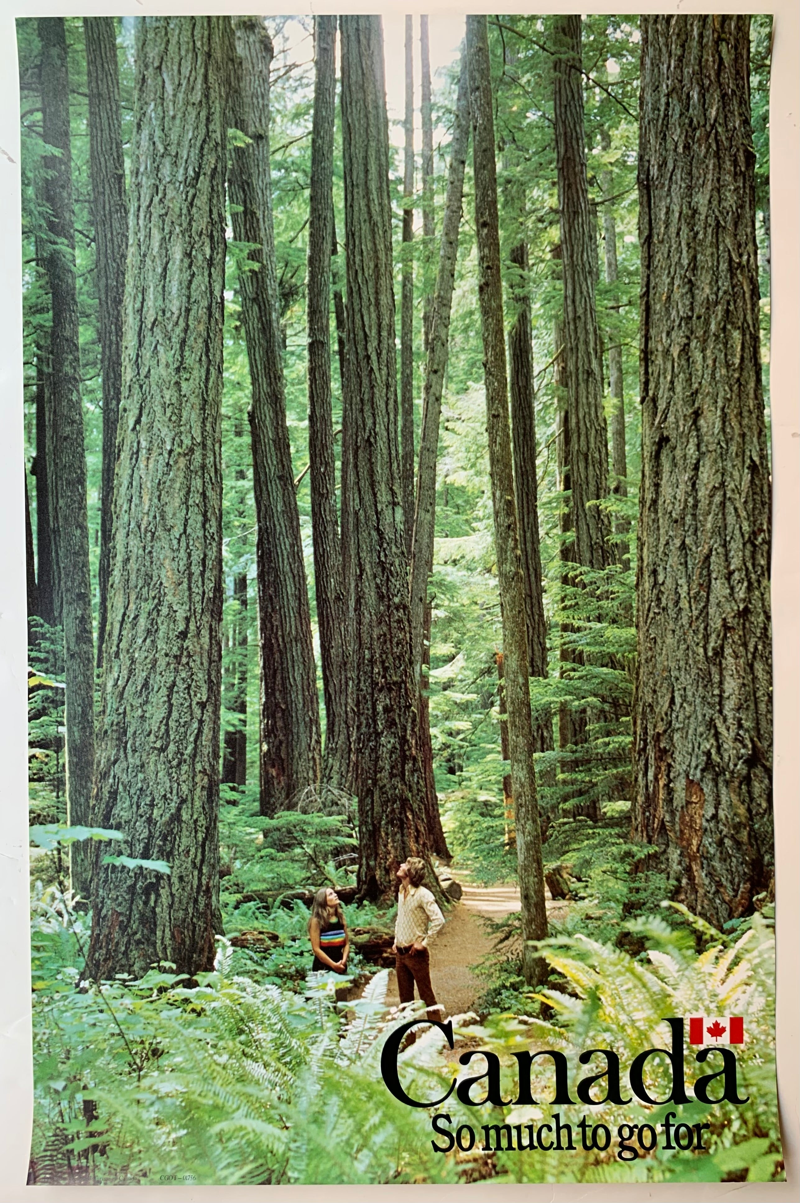 Canada So Much to Go For Poster