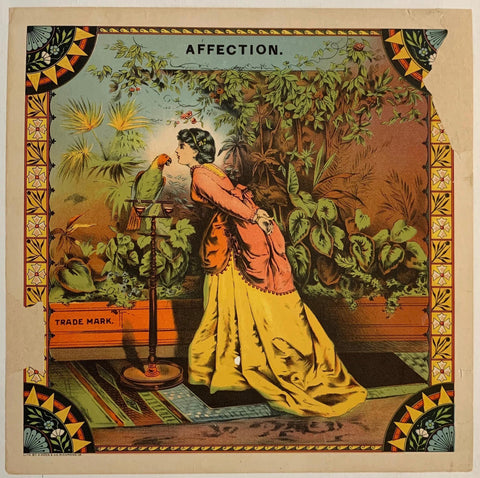 Link to  Affection1895  Product