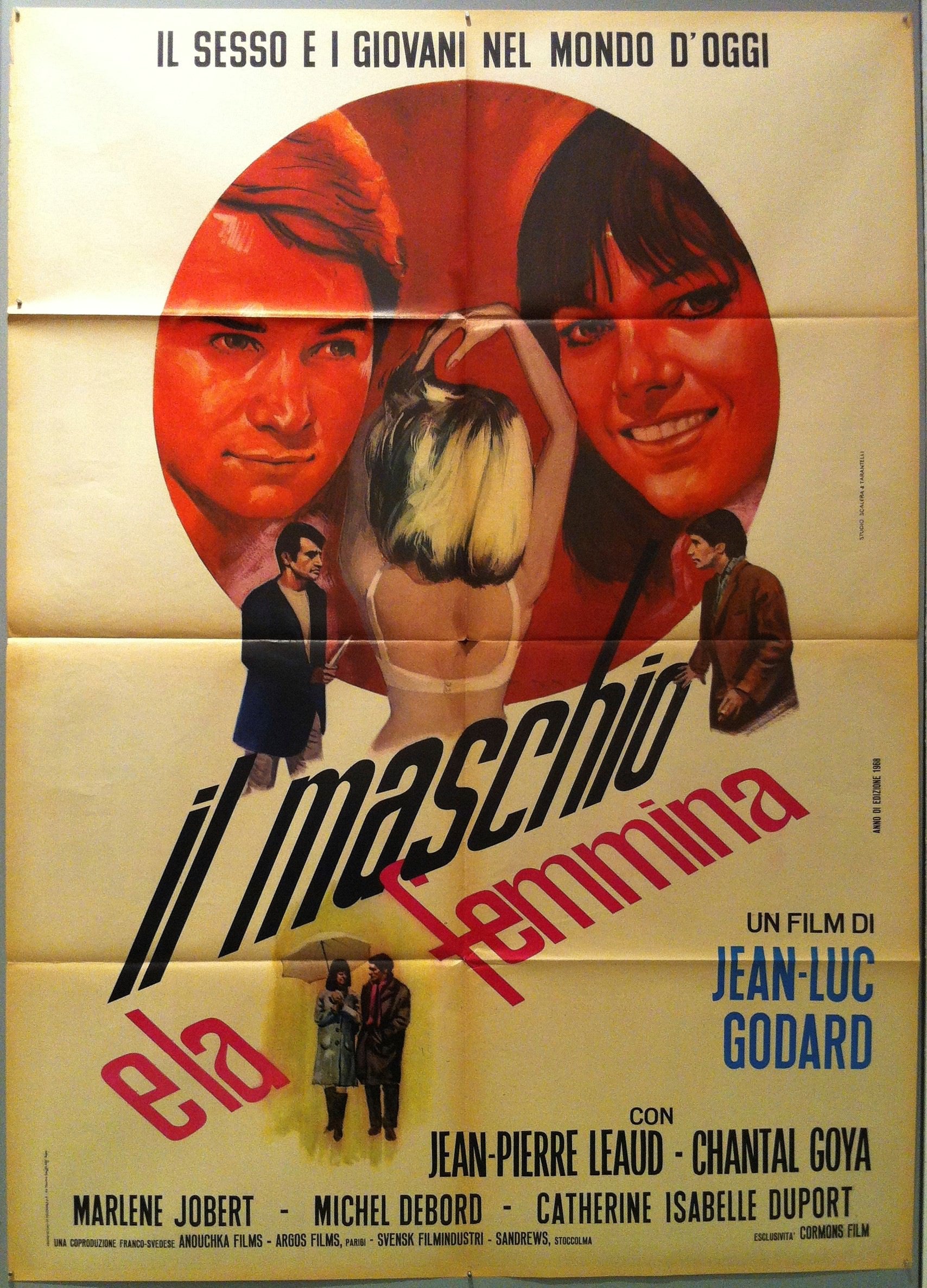 il maschio ela femmina