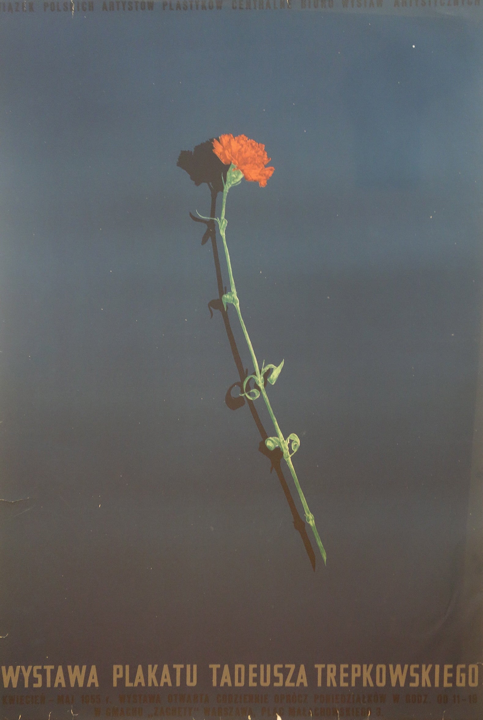 Wystawa Plakatu Tadeusza Trepkowskiego