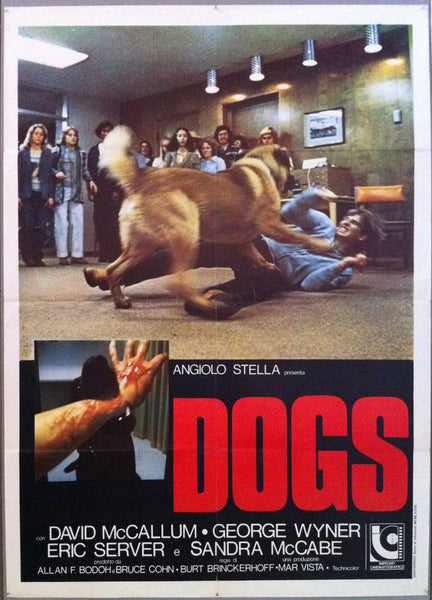 The Generation of Dogs ポスター Dogs – Poster Museum