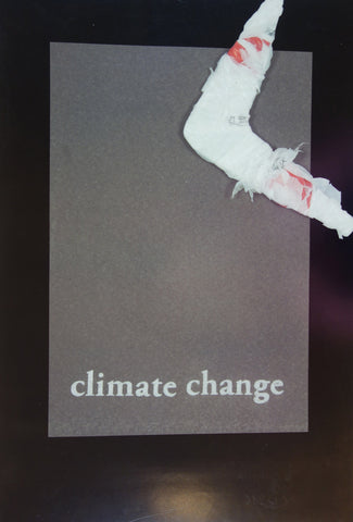 Link to  Climate Change2010  Product