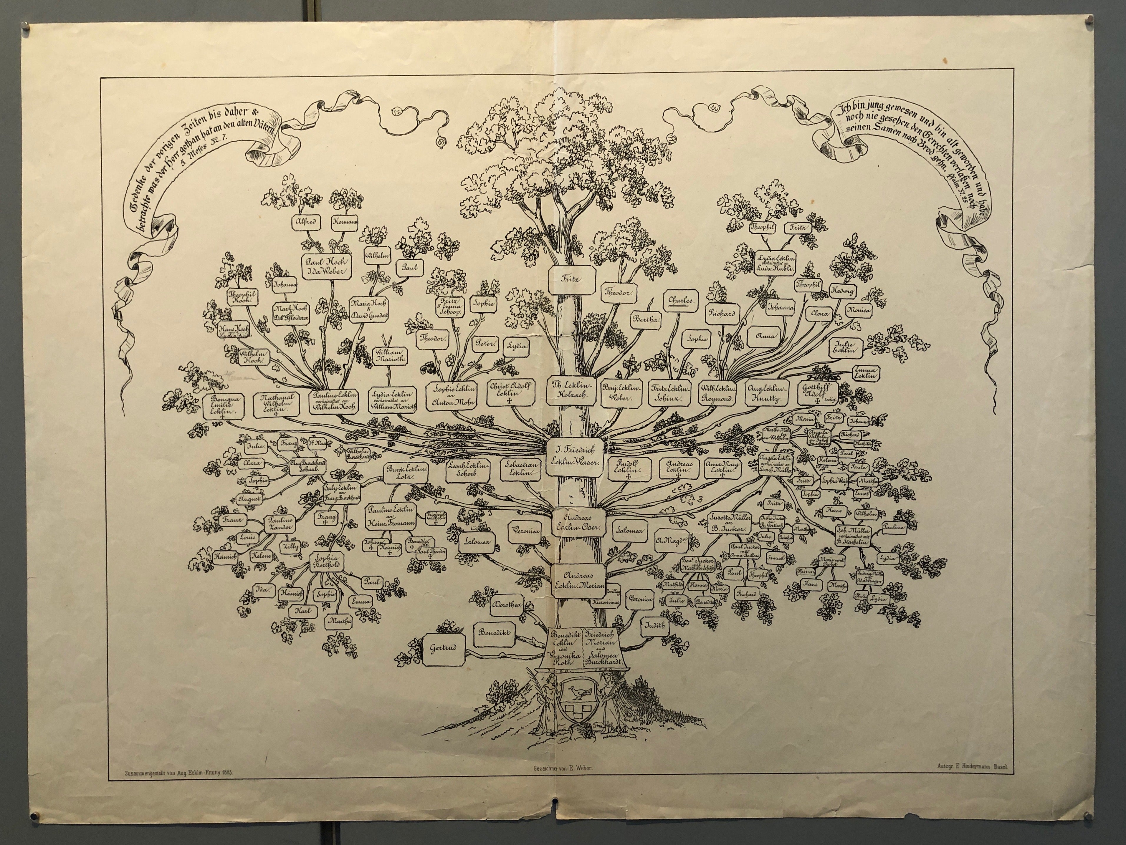 Poster of a family tree.