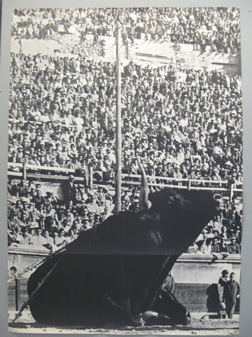 Link to  Bull in ArenaSwitzerland, 1961  Product