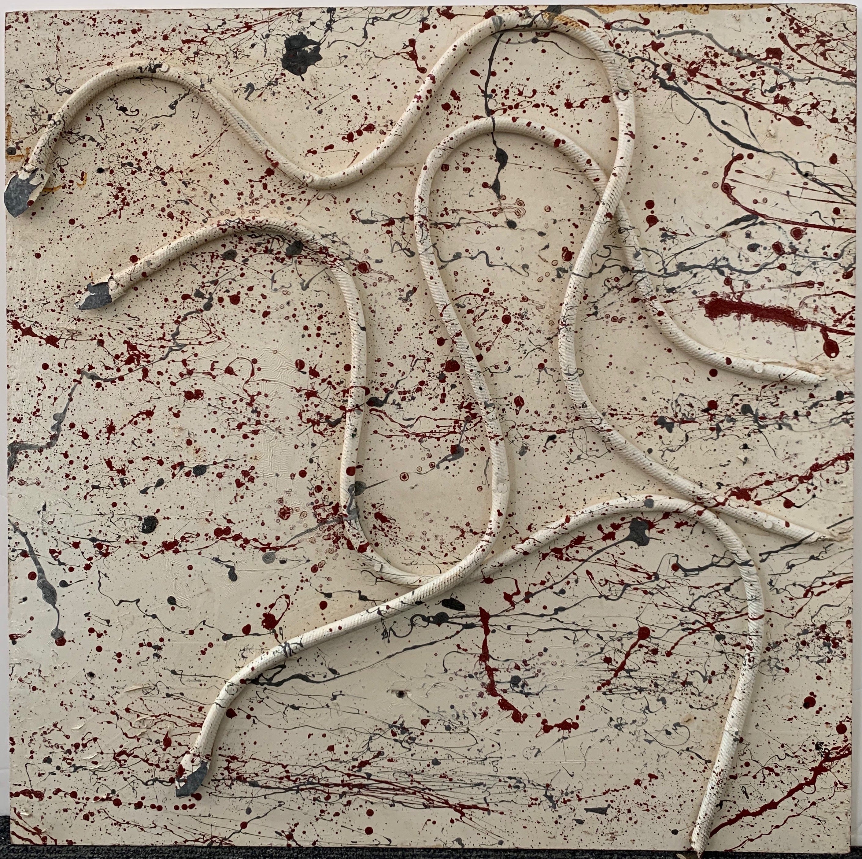 Splattered House Painted Plywood with water hose serpent nailed to the wood