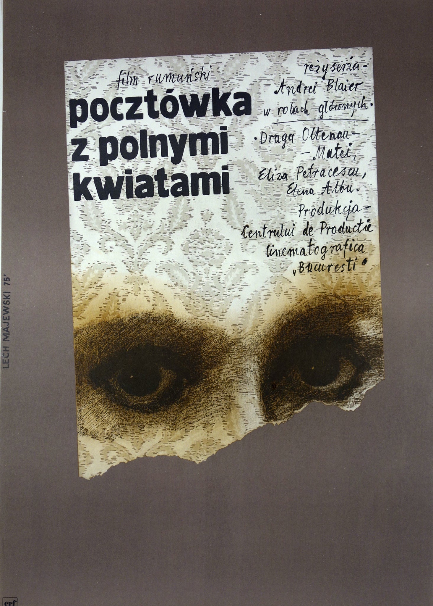 Pocztowka Z Polnymi Kwiatami