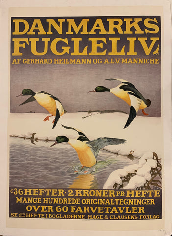Link to  Danmarks Fugleliv Poster ✓Denmark, c. 1926  Product