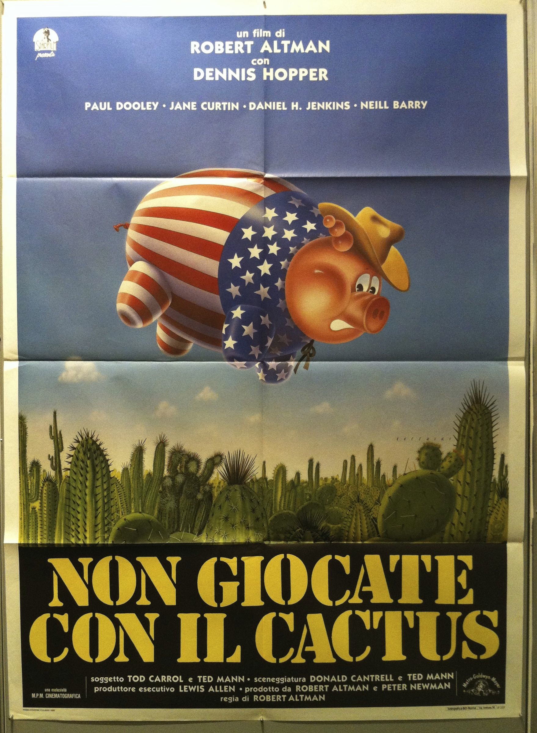 Non Giocate Con il Cactus