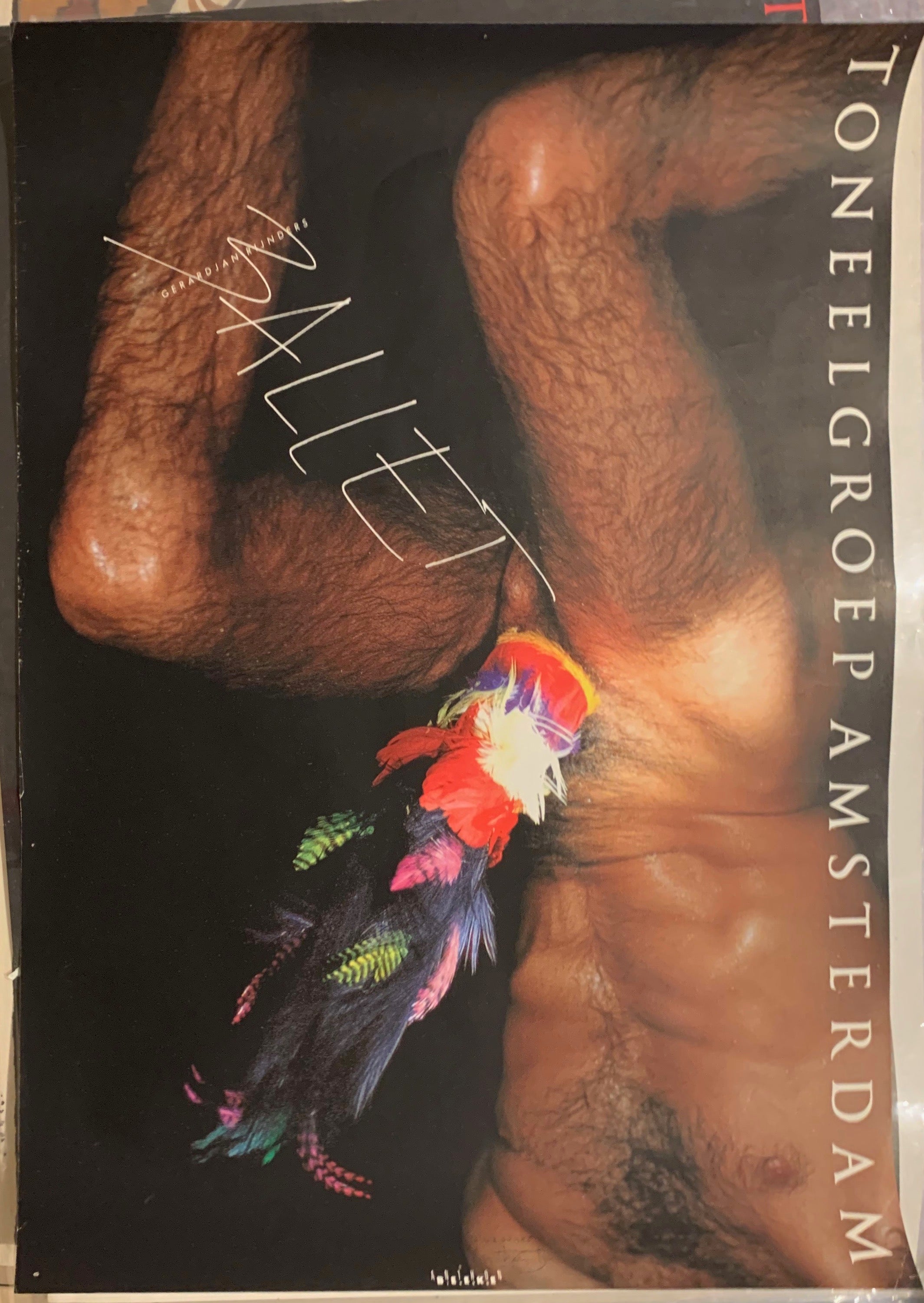 Ballet Poster