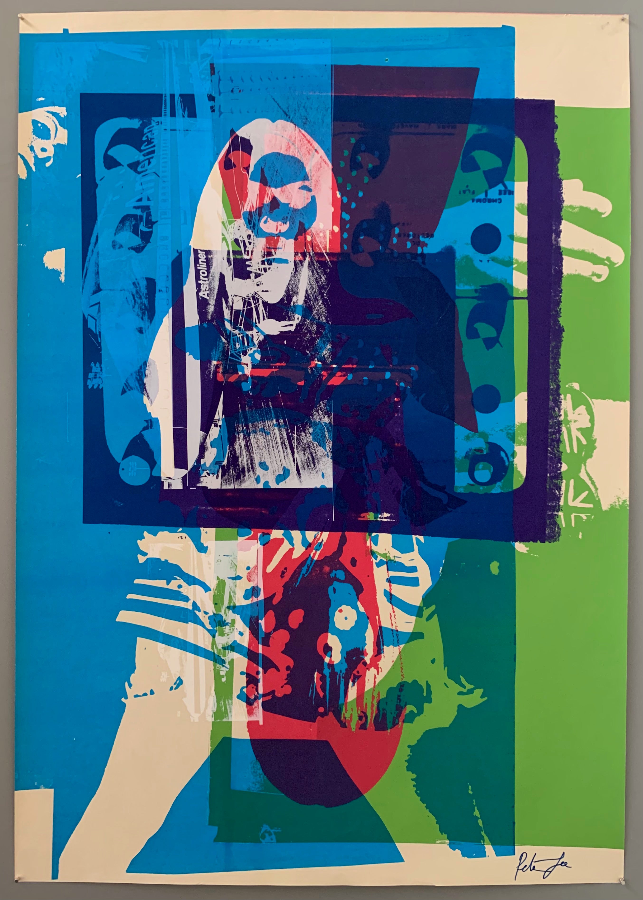 Betsey Johnson Peter Gee Fashion Collage Print #28