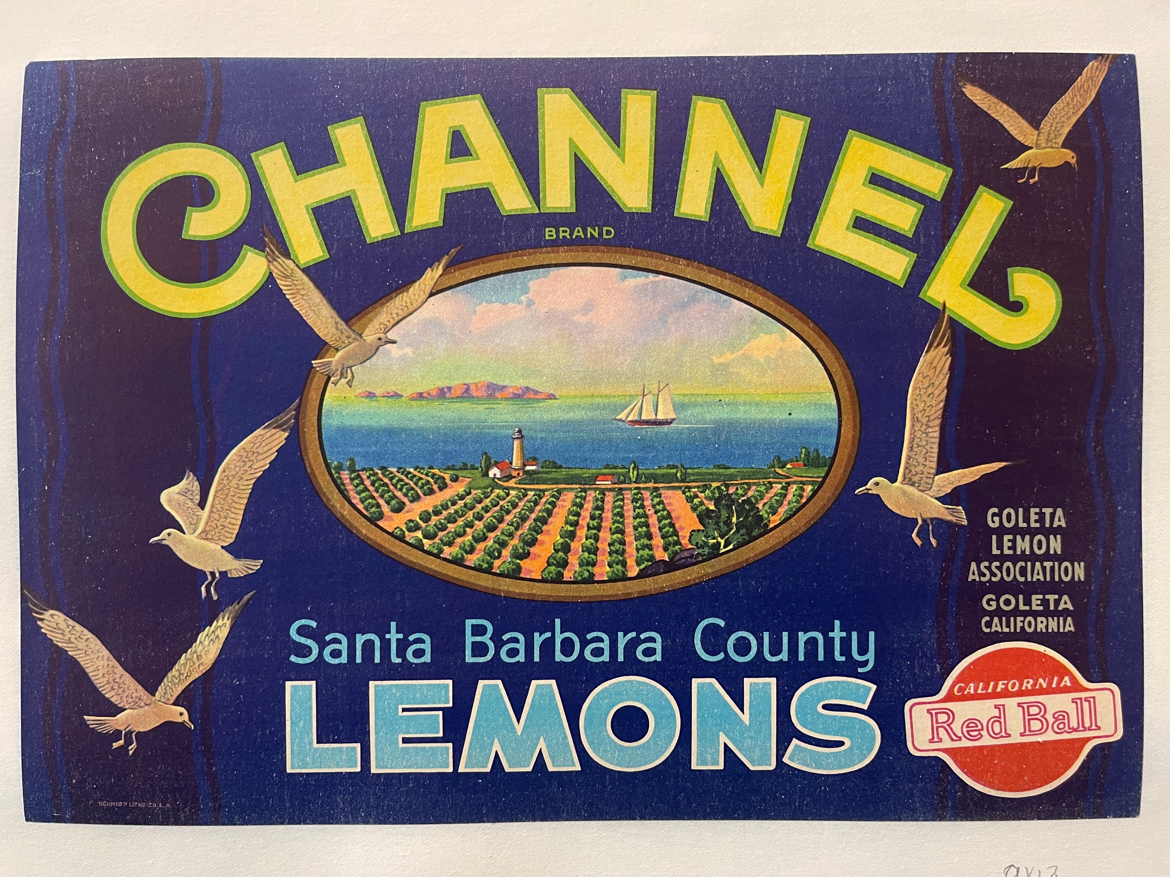 Channel Brand Sunkist Lemon Crate Poster