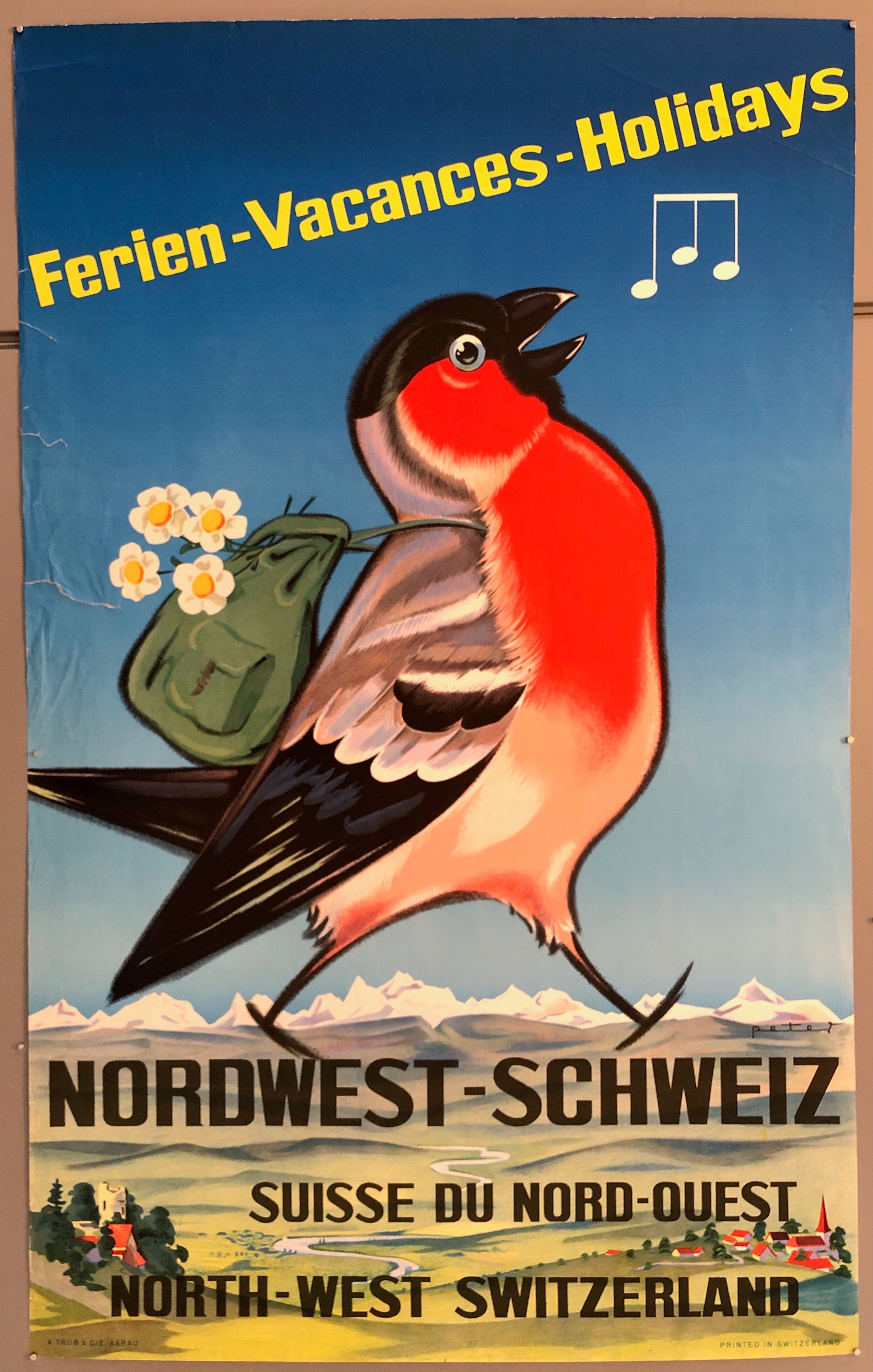 Poster of a red-bellied bird with a green backpack full of white flower