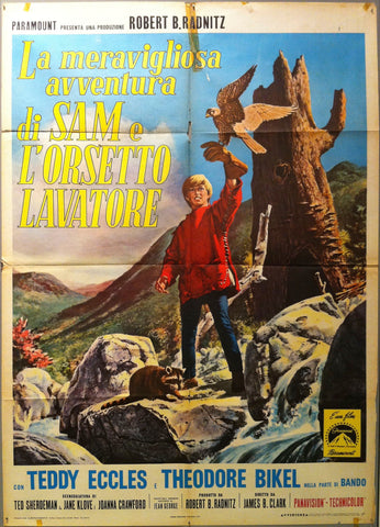Link to La Meravigliosa Avventura di Sam e L' Orsetto LavatoreItaly, 1970 Product