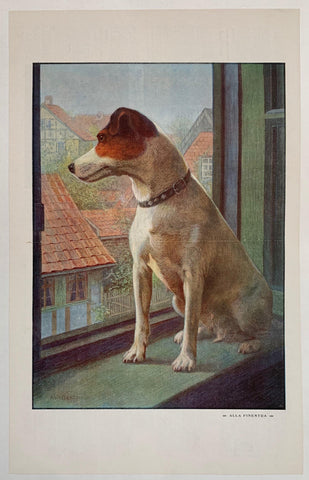 Link to  Alla FinestraItaly, C. 1900  Product