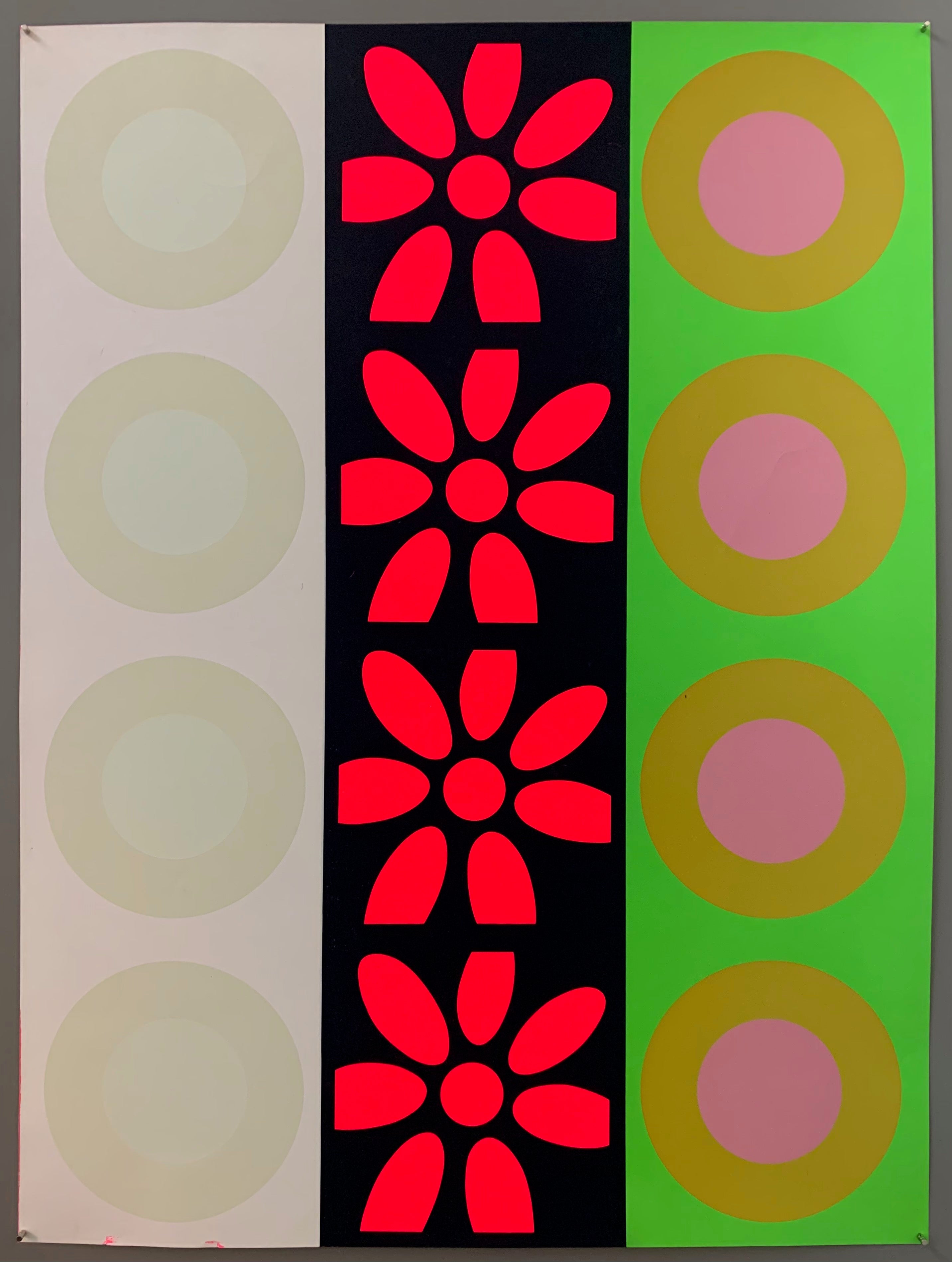 A row of pink flowers next to two rows of targets.