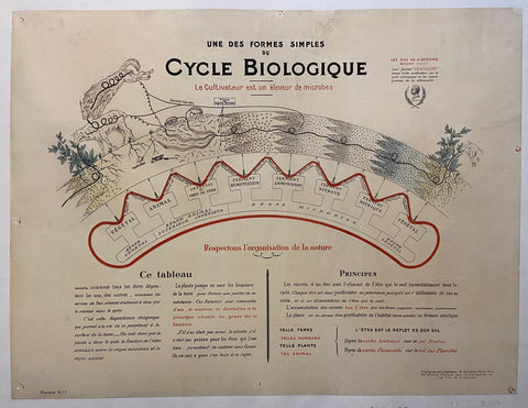 Link to  Cycle Biologique PosterFrance, c. 1910  Product