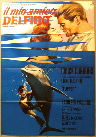 Link to  Il Mio Amico DelfinoItaly, 1963  Product