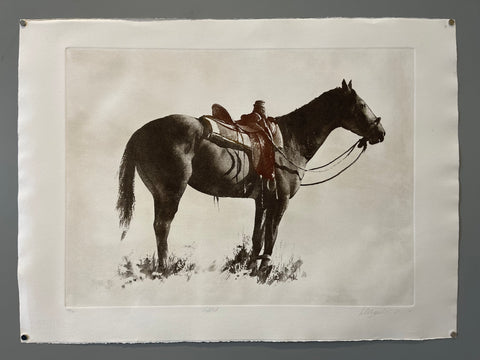 Link to  Hobbledcirca 1995  Product