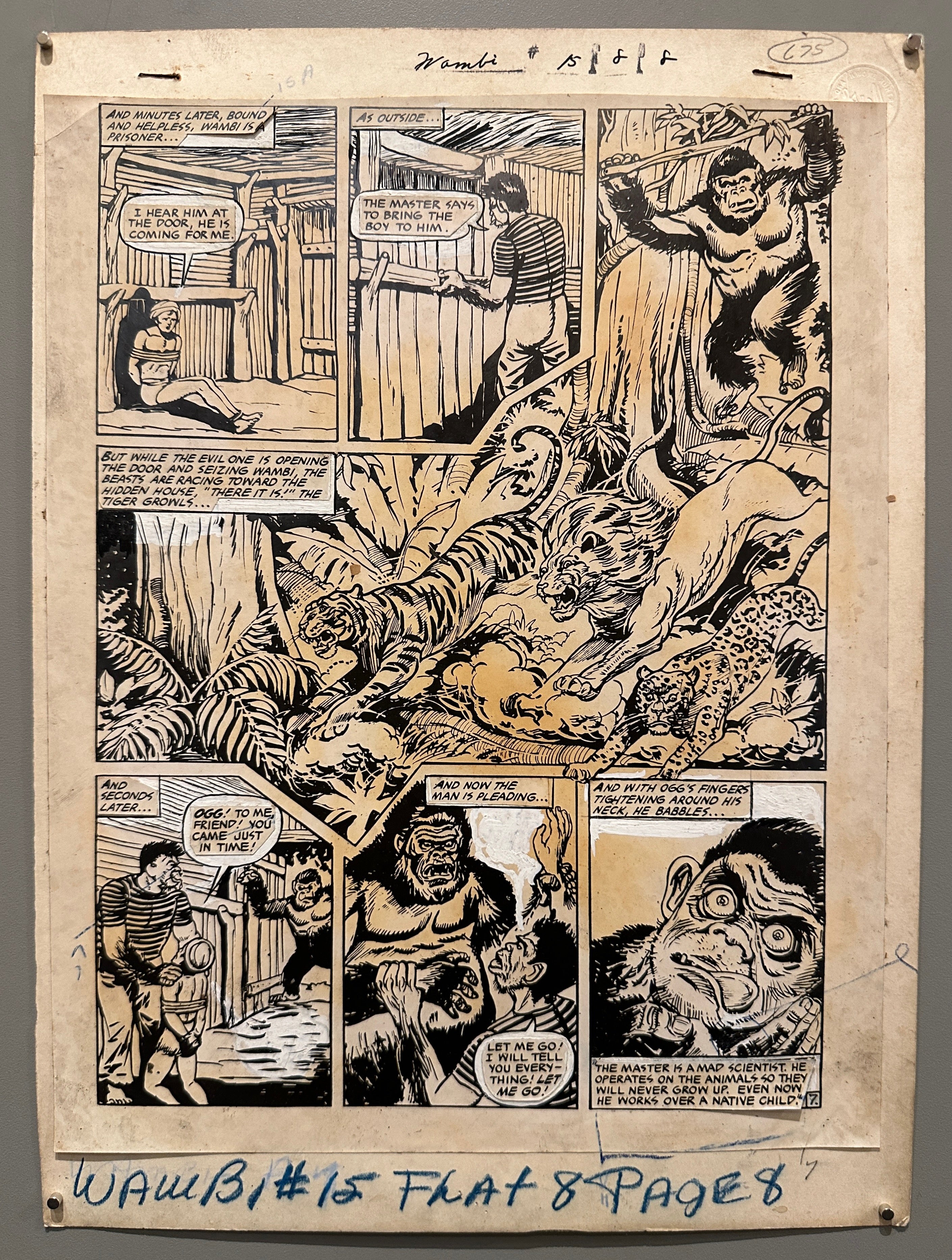 15x11 1940s black and white comic strip from wambi jungle boy featuring captured wambi speaking with various animals