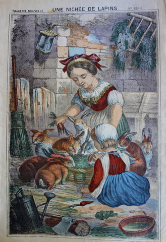 Link to  Une Nichee De LapinsFrance c. 1900  Product