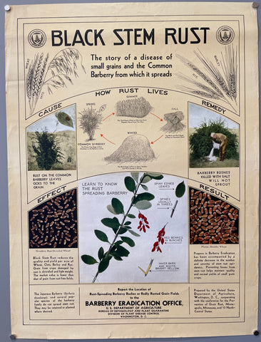 Link to  Black Stem Rust PosterU.S.A., c. 1950  Product
