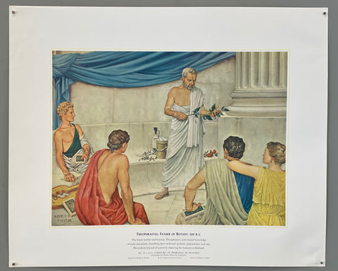 Link to Theophrastus, Father of Botany, 300 B.C. PosterU.S.A., 1951 Product