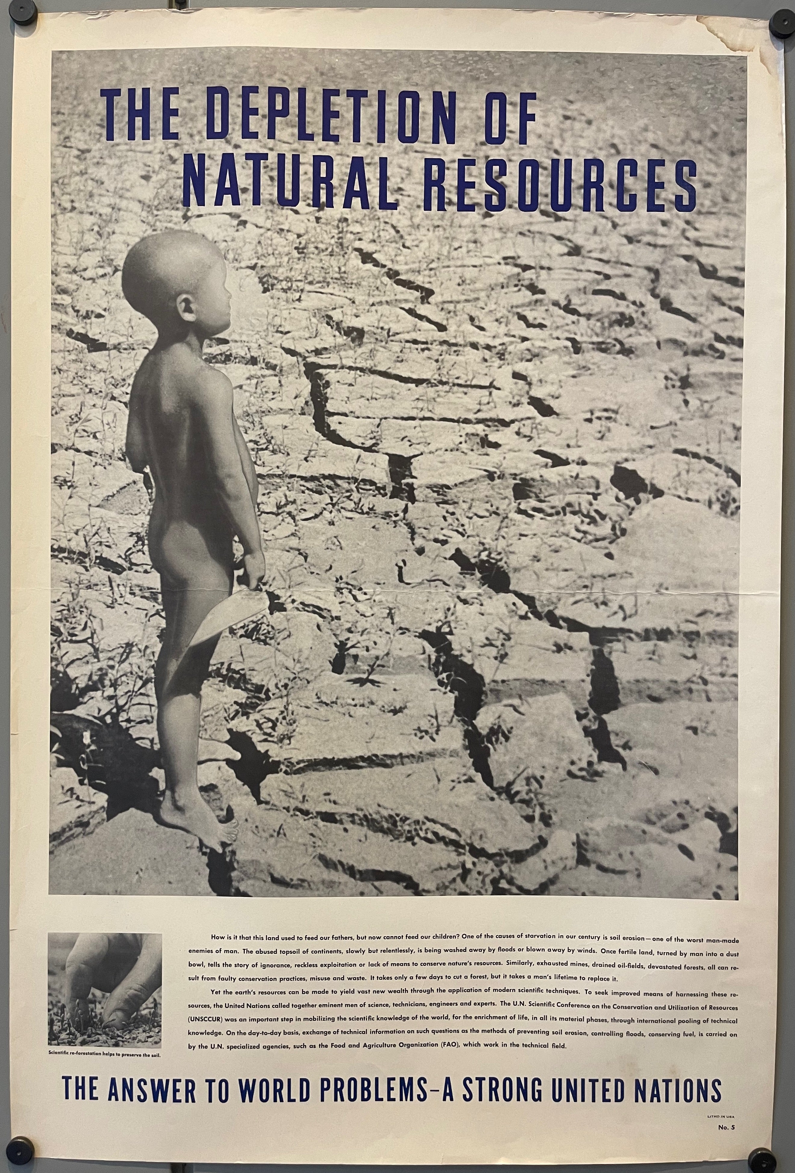 The Depletion of Natural Resources - United Nations Poster