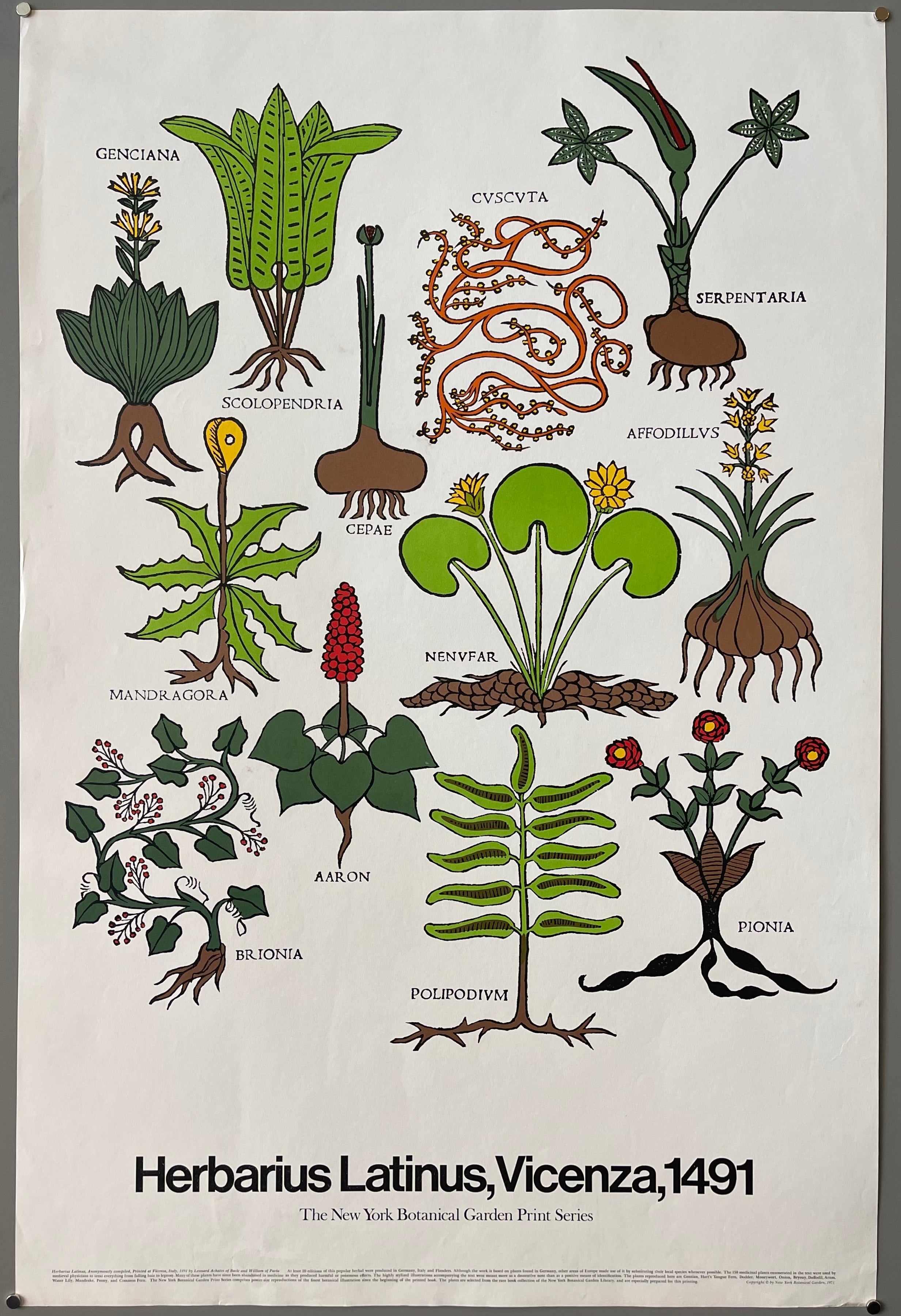 poster of a plant