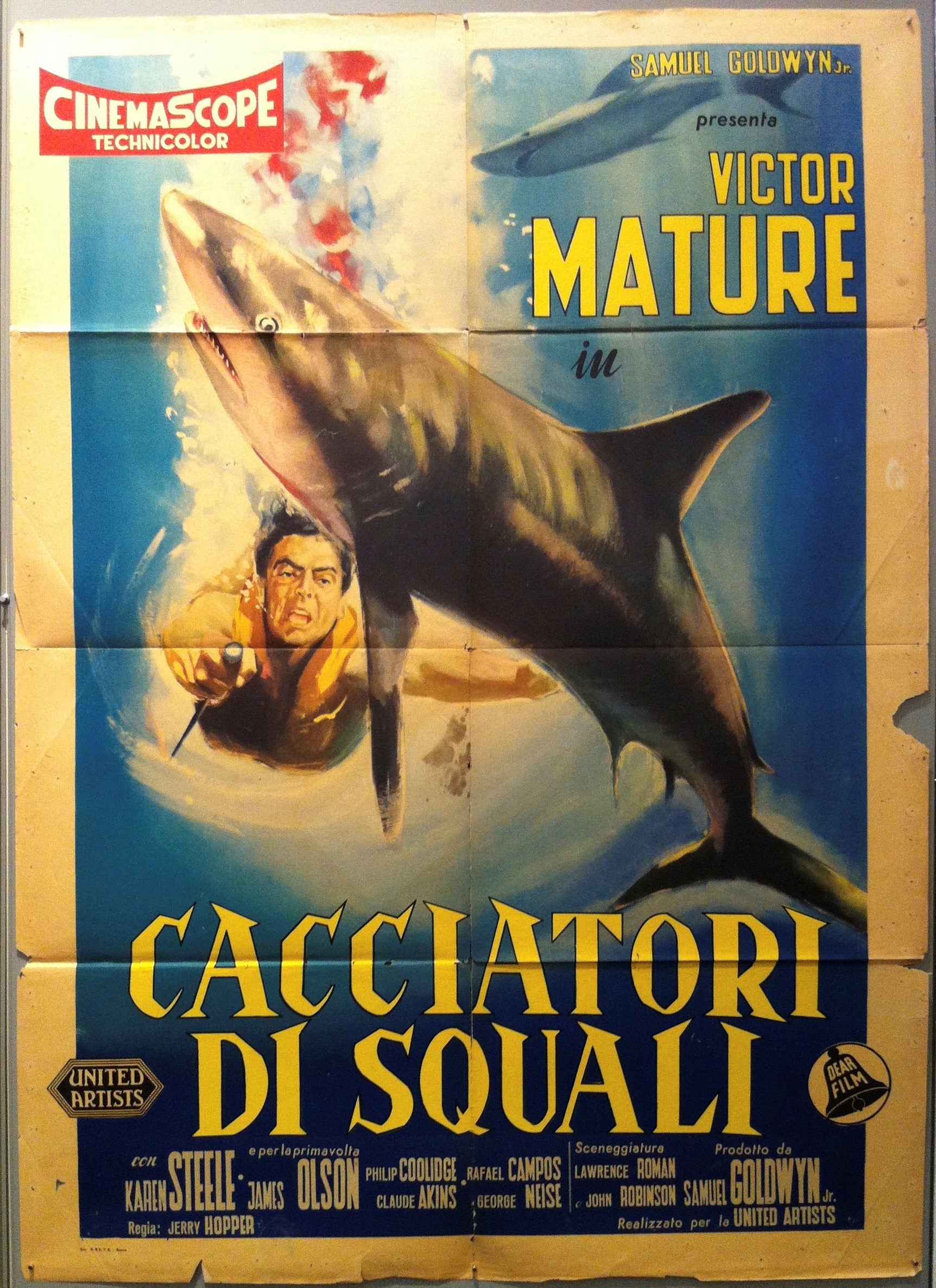 Cacciatori Di Squali